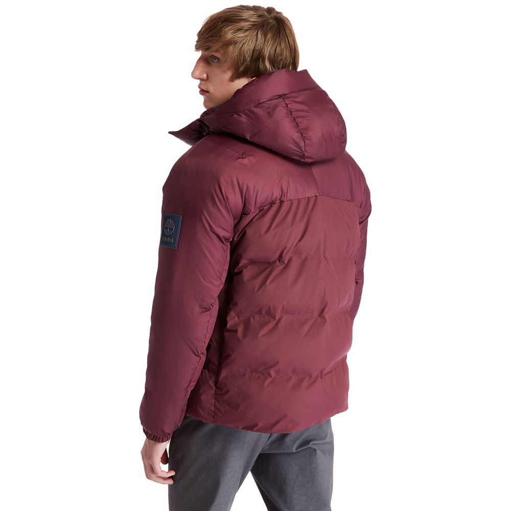Chaquetas Timberland Hombre Neo Summit Sin Capucha Invierno Burdeos - Chile VCY-247086